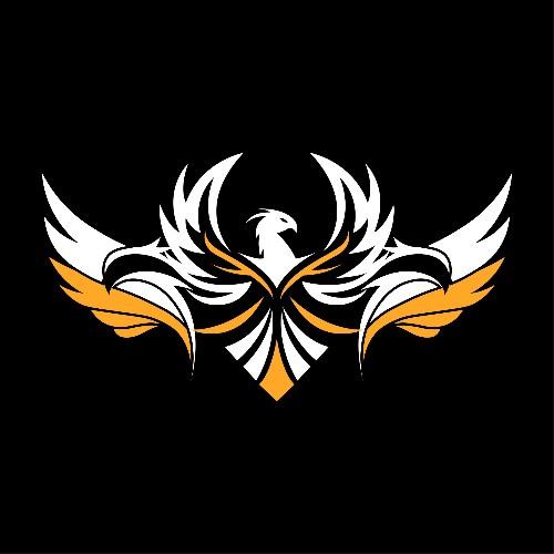 Team Vortex 1v1 Play-offs
