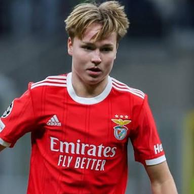 Andreas Schjelderup