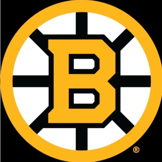 BOSTON BRUINS