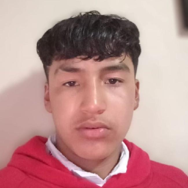 Alexander ballon garcia