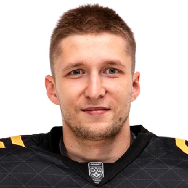 Бердин Михаил (В)