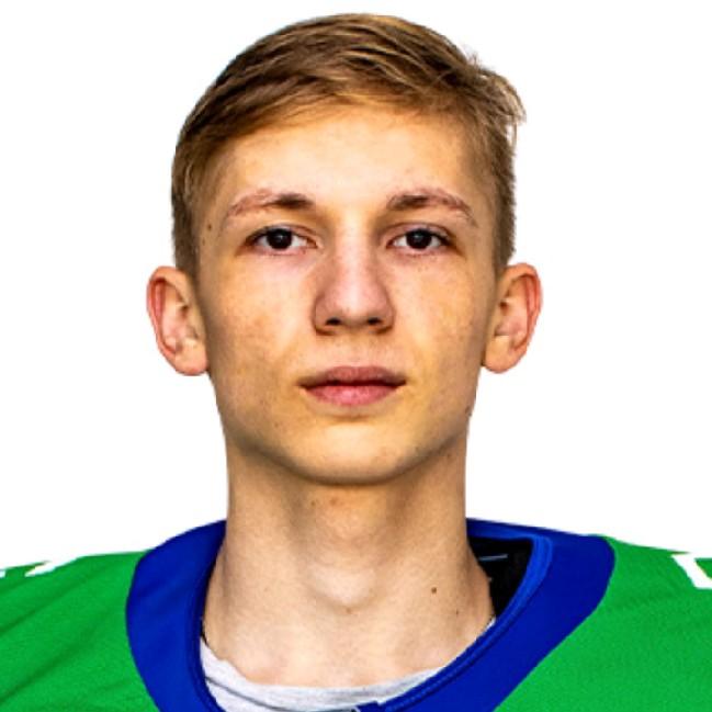 Мозговой Ярослав (В)