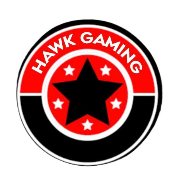 HAWK GAMING