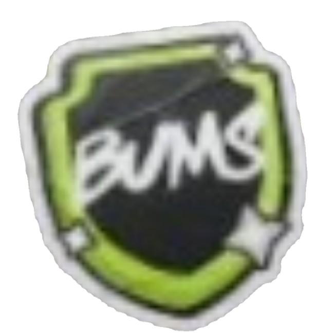 (N9) BUMS (🇺🇸)