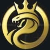 GOLD RACING