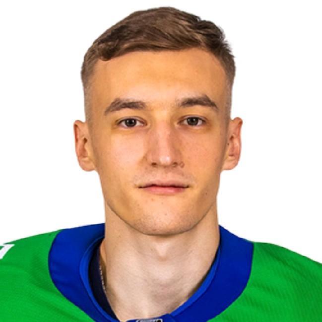 Вязовой Семён (В)