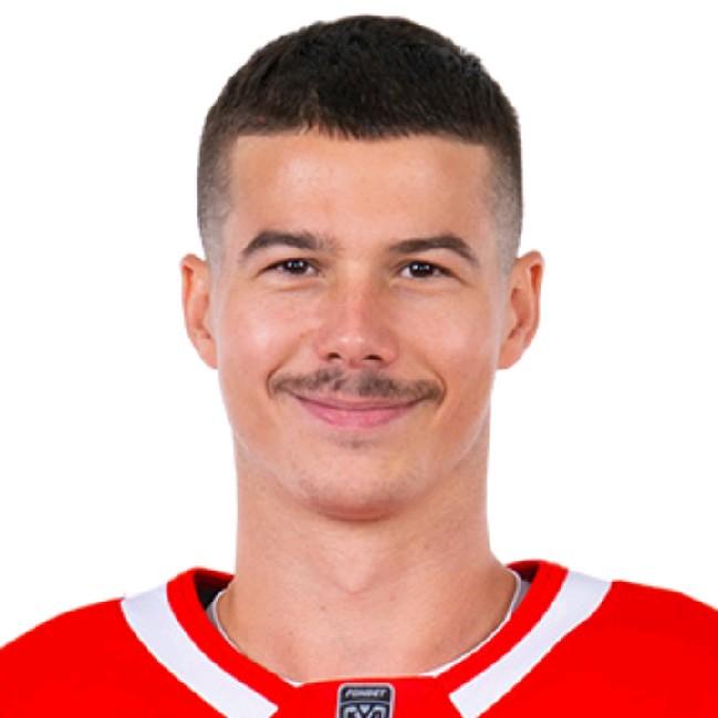 Николай Голдобин