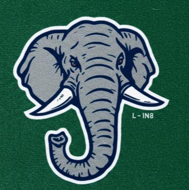 Team 3 - Elephants