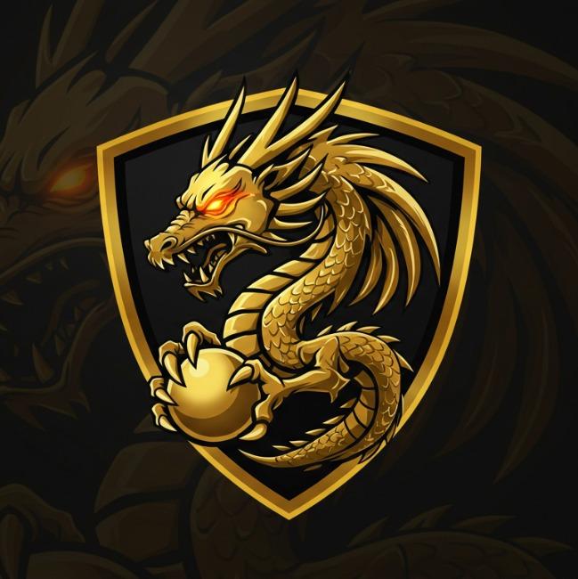 Team 4 - Dragons