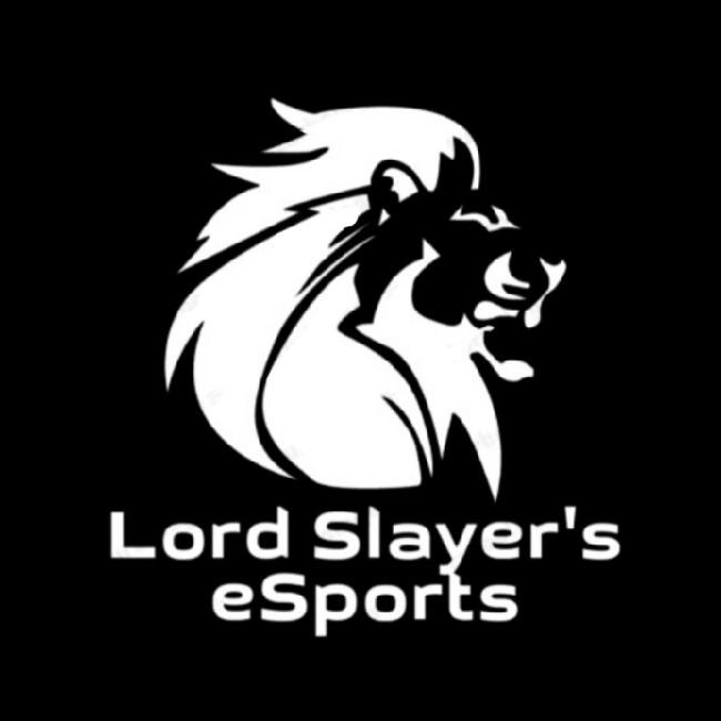 LS ESPORTS