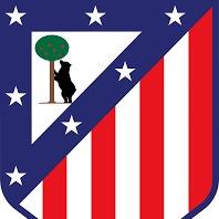 Atletico de Madrid Academy