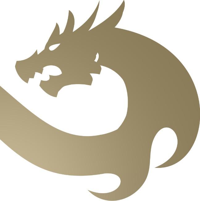 Academy of Young Dragons