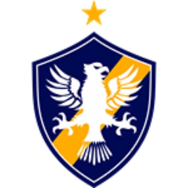 RETRO FC