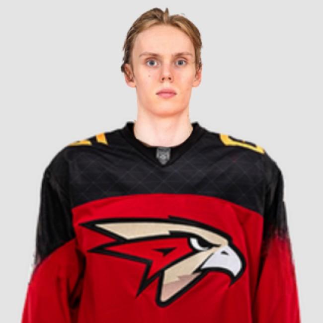 Алексей Егоров