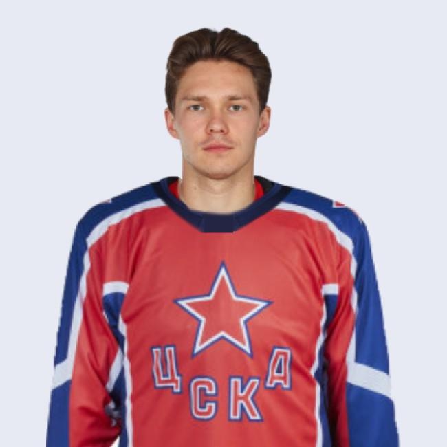 Владислав Каменев