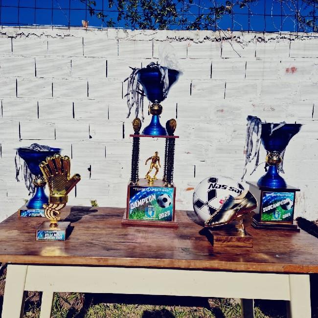 Liga universitaria 