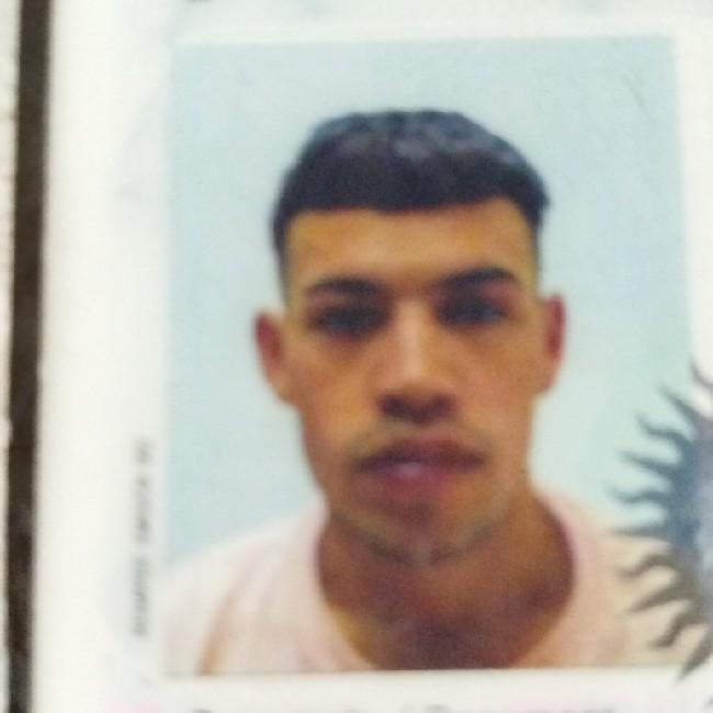 Ruiz Alan
