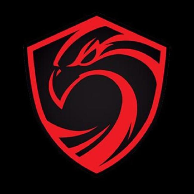 CAG ESPORTS