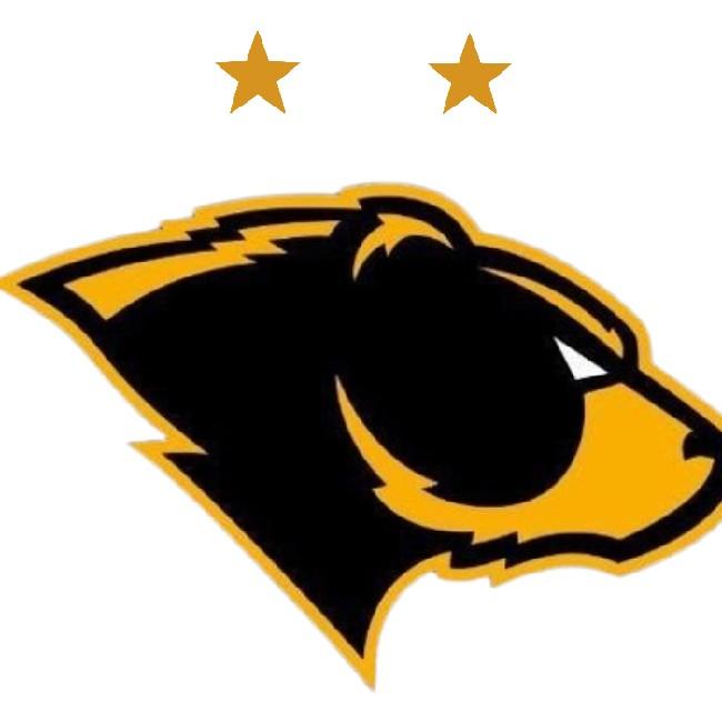 Team Bears