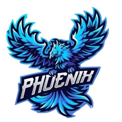 Team Phoenix