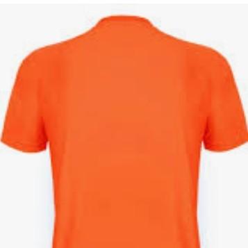 BT Laranja