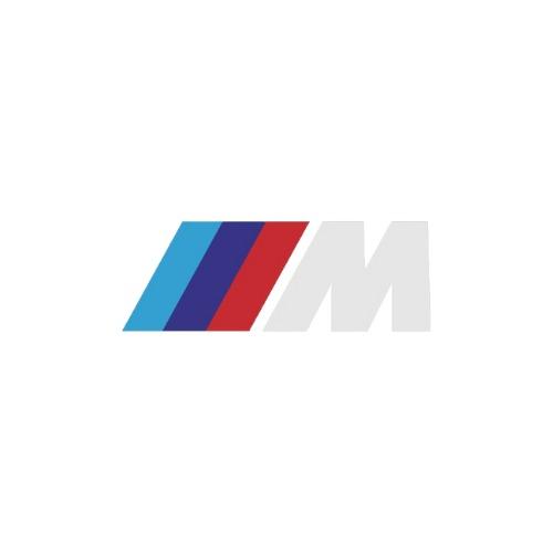 BMW F1