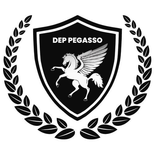 DEP PEGASSO