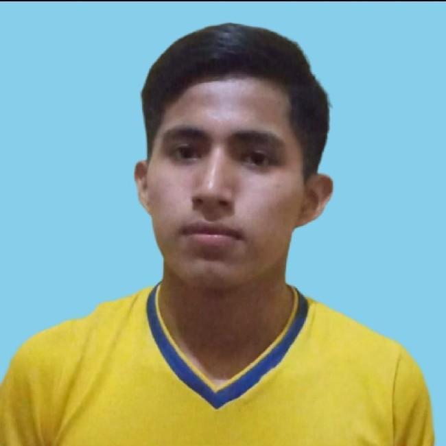 Luis Armando Vidales Flores