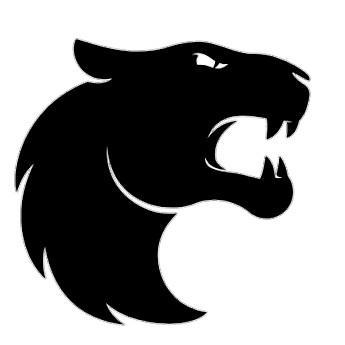 FURIA Esports