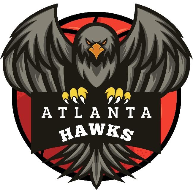 Atlanta hawks