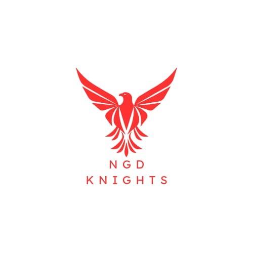 NGD KNIGHTS