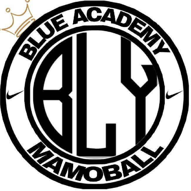 Blue academy