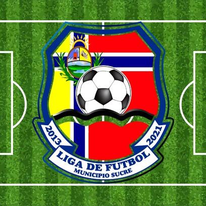 COPA SUB 8 LIFUSUC FUTBOL CAMPO 2024
