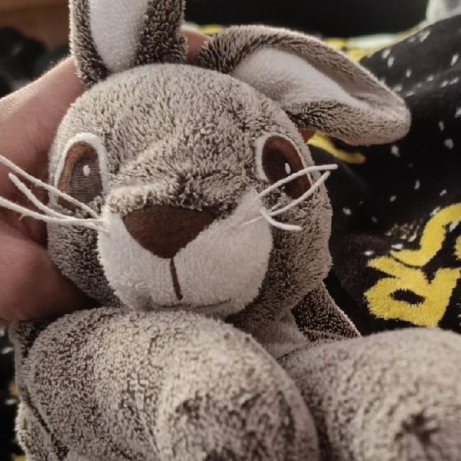 Hugo Rabbit