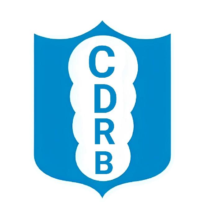 Club Deportivo Río Bajo