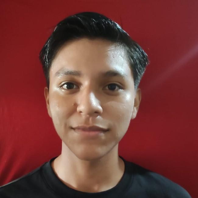 Erlan Andres Ticona Montes