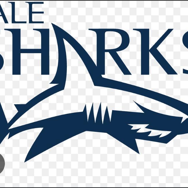 Sale sharks