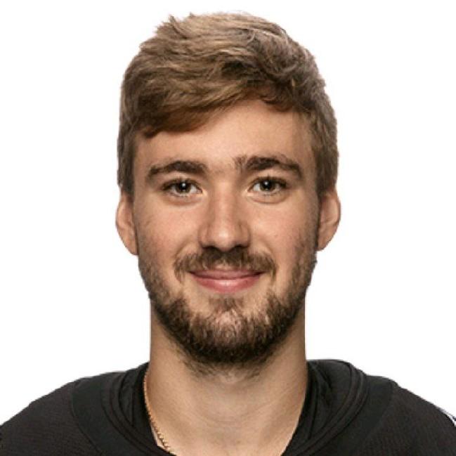 Илья Николаев