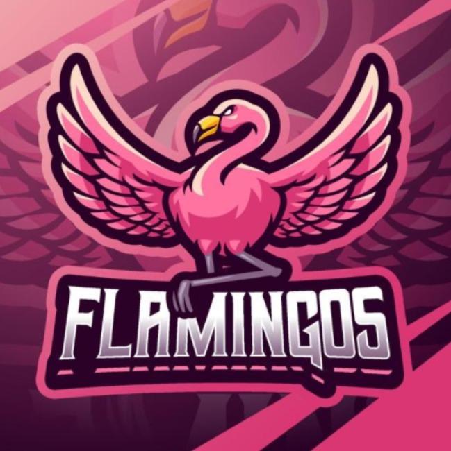FLAMINGOS FC