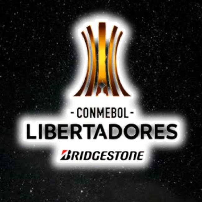 COPA LIBERTADORES