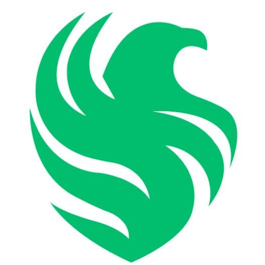 Falcons Esports