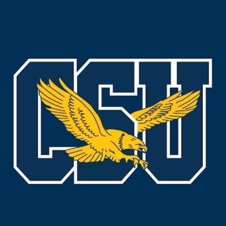 COPPIN STATE EAGLES