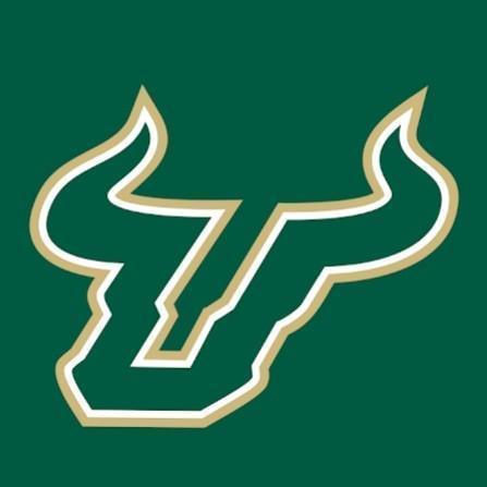 SOUTH FLORIDA BULLS
