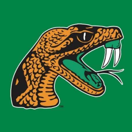 FLORIDA A&M RATTLERS