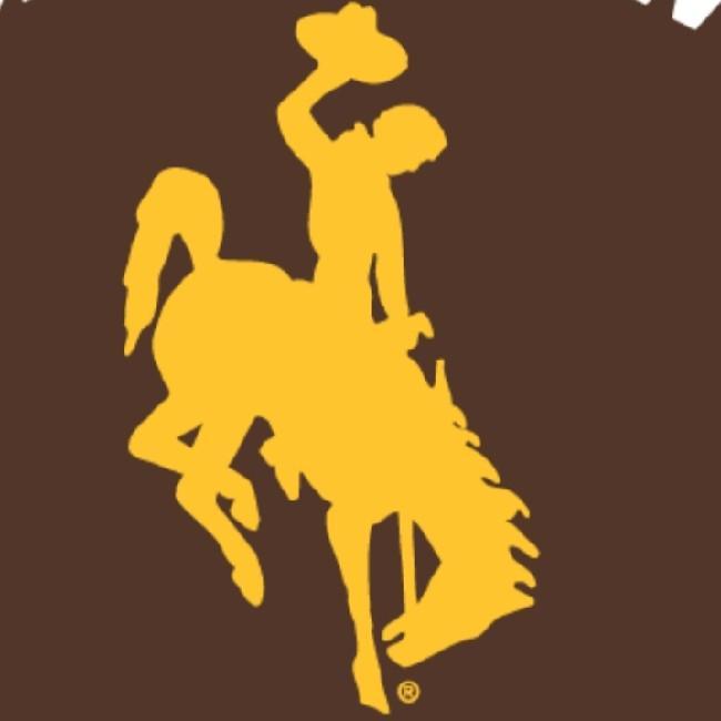 WYOMING COWBOYS