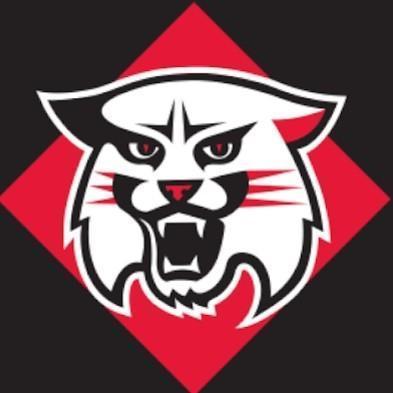 DAVIDSON WILDCATS