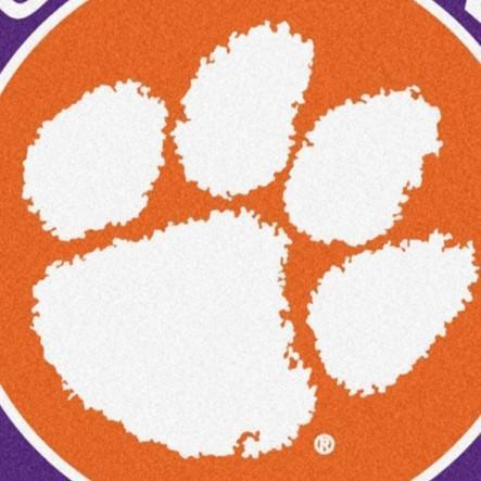 CLEMSON TIGERS