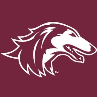 SOUTHERN ILLINOIS SALUKIS