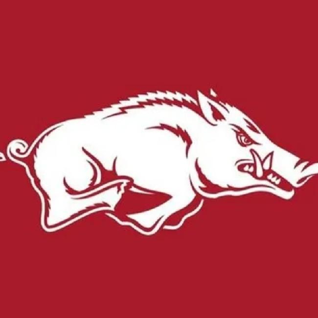 ARKANSAS RAZORBACKS