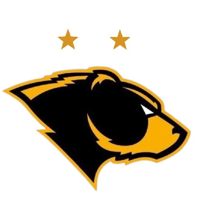 Team Bears